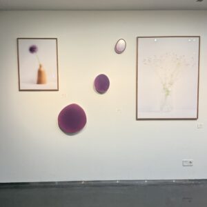 Untitled brown II