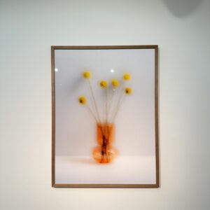 untitled orange V